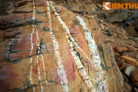 Tận mục những tảng đá “ngựa vằn” cực lạ ở bờ biển Quảng Bình