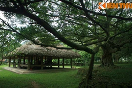 Thăm chiến khu Tân Trào - cái nôi của Cách mạng tháng Tám