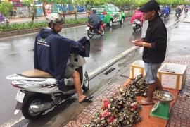 Thực hư cua Cà Mau 50.000 đồng/3 con bán đầy đường, "bao ăn"