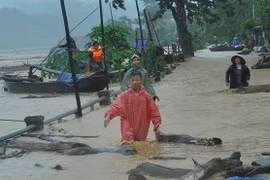 Tiếp tục mưa lớn trên diện rộng ở Bắc Bộ