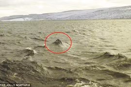 Quái vật hồ Loch Ness có thể chỉ là cá nheo