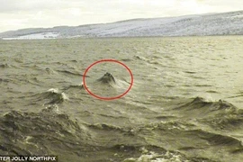 Quái vật hồ Loch Ness có thể chỉ là cá nheo