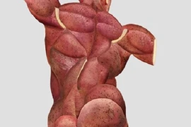 Kinh ngạc hình ảnh cơ bắp của củ, quả