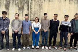 Bắt người phụ nữ cùng 7 nam giới đang say sưa trên chiếu bạc