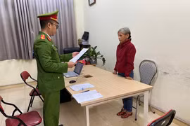 Nhổ 25 cây ngô nhà hàng xóm, người phụ nữ bị khởi tố