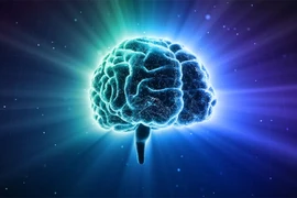 10 quan niệm sai lầm về bộ não con người