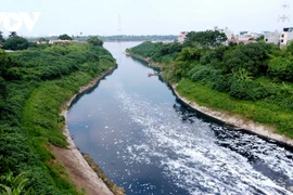 Bao giờ sông Nhuệ - "miền ký ức" mát lành được hồi sinh?