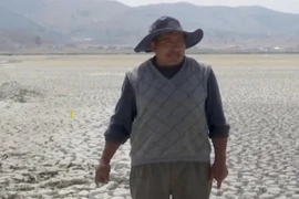 Hồ Titicaca, nơi lưu trữ nước ngọt lớn nhất Nam Mỹ đang cạn dần 