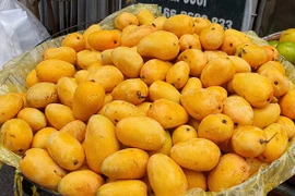 4 loại xoài độc, lạ đang hút khách