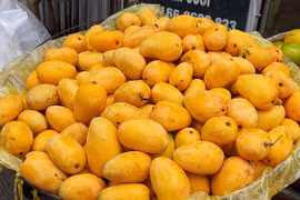 4 loại xoài độc, lạ đang hút khách