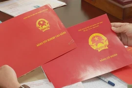 Loạt cán bộ dùng bằng giả bị xử lý