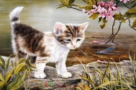  3 tháng tới, 3 con giáp đón “cơn mưa lộc”, tiền vàng tràn túi