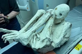 2 xác ướp "người ngoài hành tinh" từ Peru đang gây tranh cãi