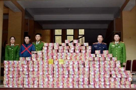 Nghệ An: Bắt đối tượng xây hầm bí mật, tàng trữ hơn 700kg pháo trái phép