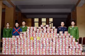 Nghệ An: Bắt đối tượng xây hầm bí mật, tàng trữ hơn 700kg pháo trái phép