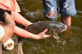 Làm những việc này trong ngày Rằm tháng Giêng để cả năm may mắn