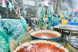 Trước ngày ông Táo về trời, chợ cá Yên Sở ngập sắc đỏ 