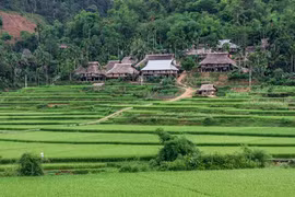 7 địa điểm hấp dẫn nhất định phải đến khi ghé thăm Thanh Hóa