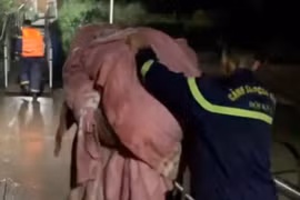 Giải cứu nam thanh niên nhảy cầu Chương Dương xuống sông Hồng