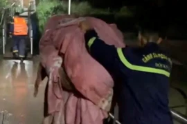 Giải cứu nam thanh niên nhảy cầu Chương Dương xuống sông Hồng