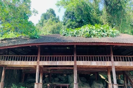 Có gì trong khu du lịch sinh thái bỏ hoang giữa rừng Hà Tĩnh?