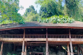 Có gì trong khu du lịch sinh thái bỏ hoang giữa rừng Hà Tĩnh?