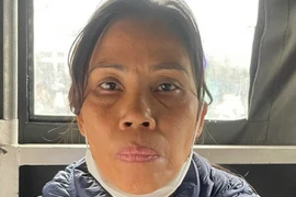 Khởi tố nữ quái trộm cắp tài sản có 16 tiền án, tiền sự