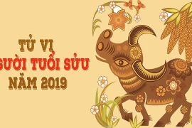 Tử vi tuổi Sửu năm 2019: Gia đạo bất ổn, phòng tai nạn, đau ốm