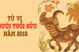 Tử vi tuổi Sửu năm 2019: Gia đạo bất ổn, phòng tai nạn, đau ốm
