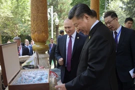Ông Tập bất ngờ vì ba món quà sinh nhật từ Tổng thống Putin