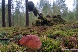 Không tưởng cách xe tăng Nga thoát khỏi “mắt thần” của Mỹ