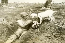 Khoảnh khắc nghỉ ngơi hiếm hoi của những người lính trong Thế chiến II