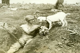 Khoảnh khắc nghỉ ngơi hiếm hoi của những người lính trong Thế chiến II