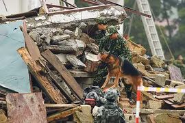 Việt Nam và Trung Quốc tổ chức diễn tập chung về cứu trợ thảm họa