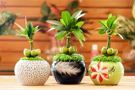 5 tuyệt chiêu phong thủy hút tài lộc cho dân công sở