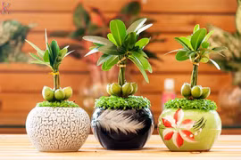 5 tuyệt chiêu phong thủy hút tài lộc cho dân công sở