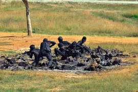 Đặc công Việt Nam "xuất quỷ nhập thần" luồn sâu, đánh hiểm