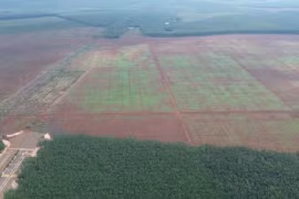 Đồng Nai “chốt” ngày đấu giá khu đất 56ha trị giá 789 tỷ