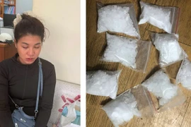 Bắt quả tang 2 đối tượng mua bán trái phép lượng lớn ma tuý