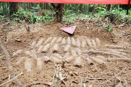 Phát hiện hầm đạn nguy hiểm cách mặt đất 5cm ở Quảng Trị