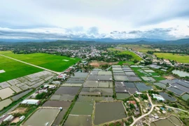 Bình Định đưa 33 lô đất lên sàn, khởi điểm 4 triệu đồng/m2