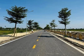 Hơn 200 lô đất Hà Nam “lên sàn”, khởi điểm 41 triệu đồng/lô