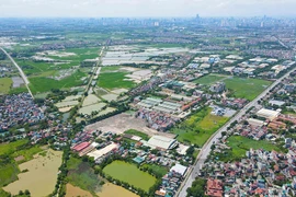 Thường Tín đưa 37 thửa đất lên sàn, khởi điểm hơn 10 triệu/m2