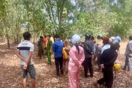 Phát hiện người đàn ông tử vong trong rừng tràm ở Bình Thuận