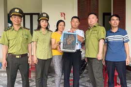 Chú cu li nhỏ quý hiếm được người dân tốt bụng giao nộp