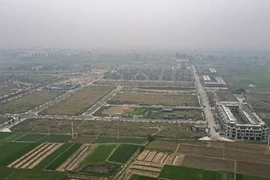 Mê Linh đấu giá thành công 29 thửa đất, thu về 120 tỷ