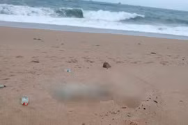 Phát hiện thi thể không nguyên vẹn trôi dạt vào bờ biển Phú Yên