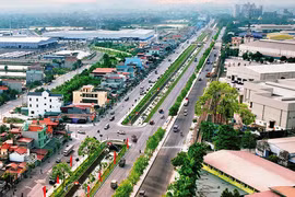 Đấu giá thành công 383 lô đất, Ninh Bình thu gần 500 tỷ đồng