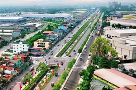 Đấu giá thành công 383 lô đất, Ninh Bình thu gần 500 tỷ đồng