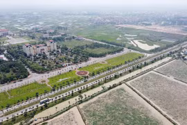 Tạm hoãn phiên đấu giá 30 lô đất ở tại huyện Mê Linh